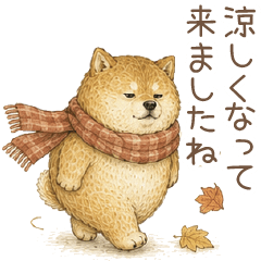 1年中使えるゆるふわ柴犬