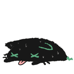 BLACKCAT TIMONYA - Heatwave Mode