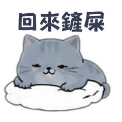 Cat livelihood6