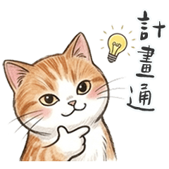 QQQQQQQQQQQQQginger cat4