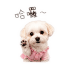 貝貝の生活用語