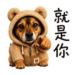 波比老爺隨便說