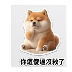 柴柴哥哥的甌北供