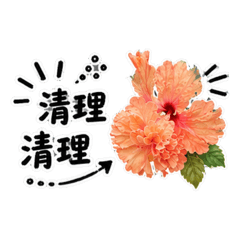 清理清理