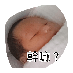 丁丁日記2