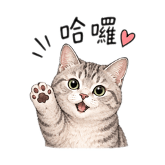 雙mii日常