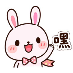 Pinky Rabbit Daily