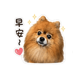 樂樂專屬～