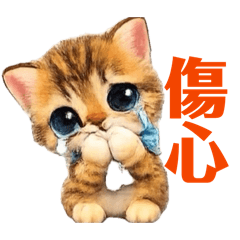 可愛調皮小貓咪yeah