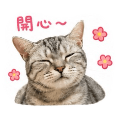 MUMU_CATTY