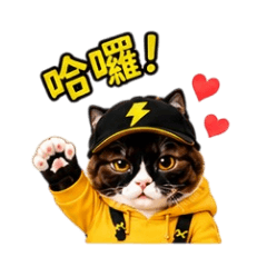 珊珊又來了