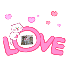 morio_20260619111741