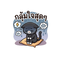 pongpang_20260620075901
