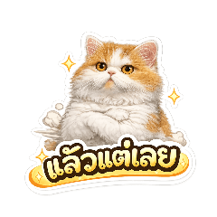 Aunpung meow_20260620132935