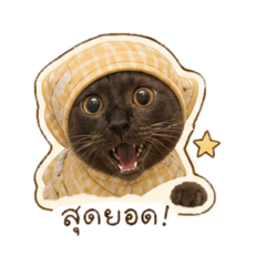Chatsudamm