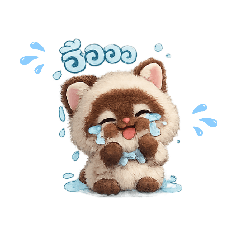 Cat Cha Dew_20260620161036