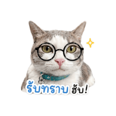 Maprang_20260621161544