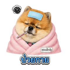 Gingbaaa_20260621183635