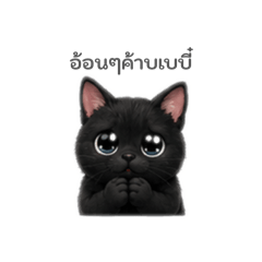 Thecat_20260621190837