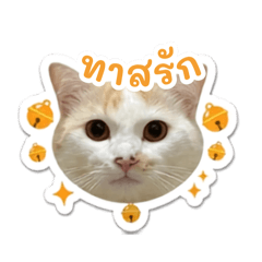 neey_20260621192329