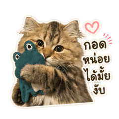 Nicole_20260621235635