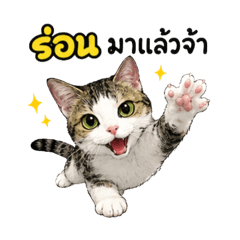 sakul_20260622024811