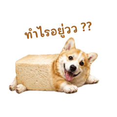 Tofu eiei1