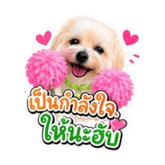 Nattayajoyka_20260622213309