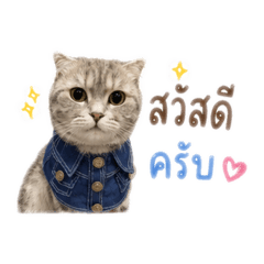 Maoyonir