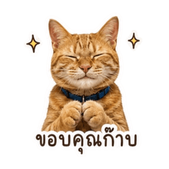 Nattha Ninklang_20260731141552