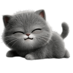 Fluffy03