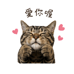 Luca寶