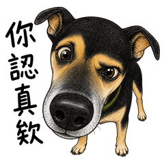 Aji Daily: Absurd Vol. 7