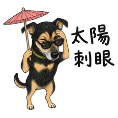 Aji Daily: Travel Vol. 8
