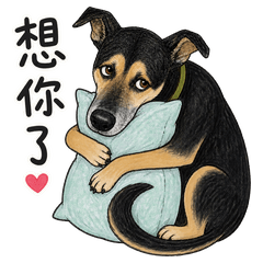 Aji Daily: Affection Vol. 4