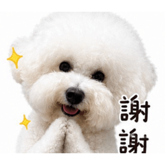 嚕米的小世界