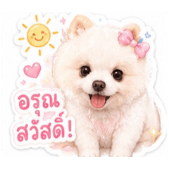 Nitchapat_20260731174856