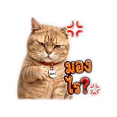 Namwhan_20260731174135
