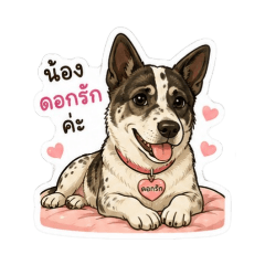namon1994_20260731205346