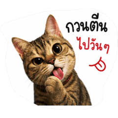 Jayjay_20260731205833