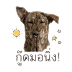 Weerapong_20260731211723