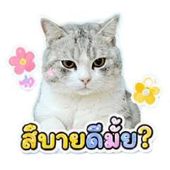gecha_20260731220357
