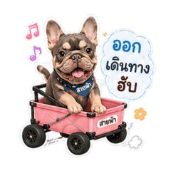 CHOPPER HAFF_20260801115040