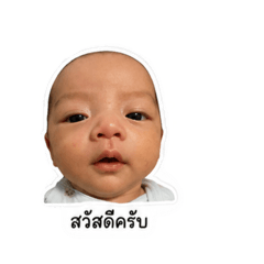 Cream_20260801115118