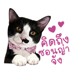 Chutimon_20260801121008