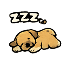 Boerboel dog V1