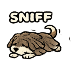 Dog Variety V1 Various breed