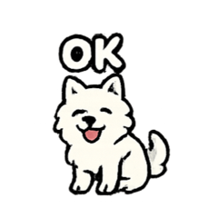 American Eskimo Dog V1 White fluffy