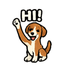 Azawakh dog V1