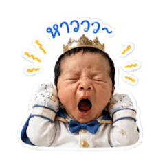 Krini_20260809202934